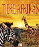 Tiere Afrikas